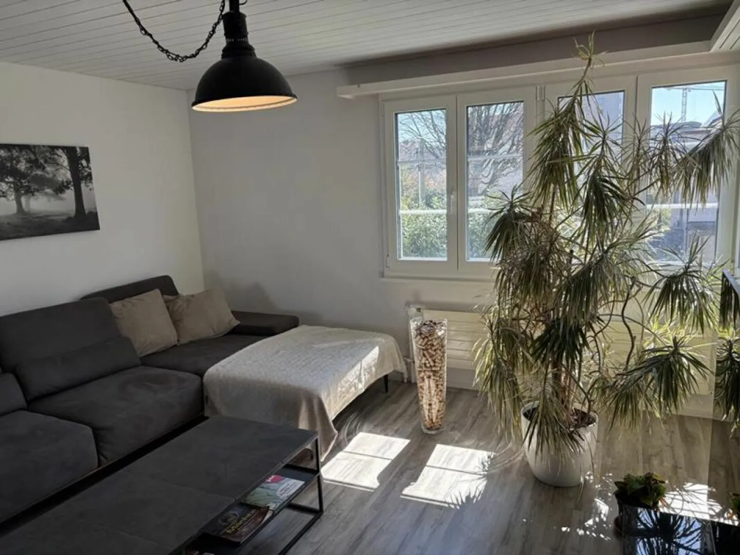 Living with added value: charming 4.5-room apartment combines quiet location with central accessibility - Photo 5 of 16