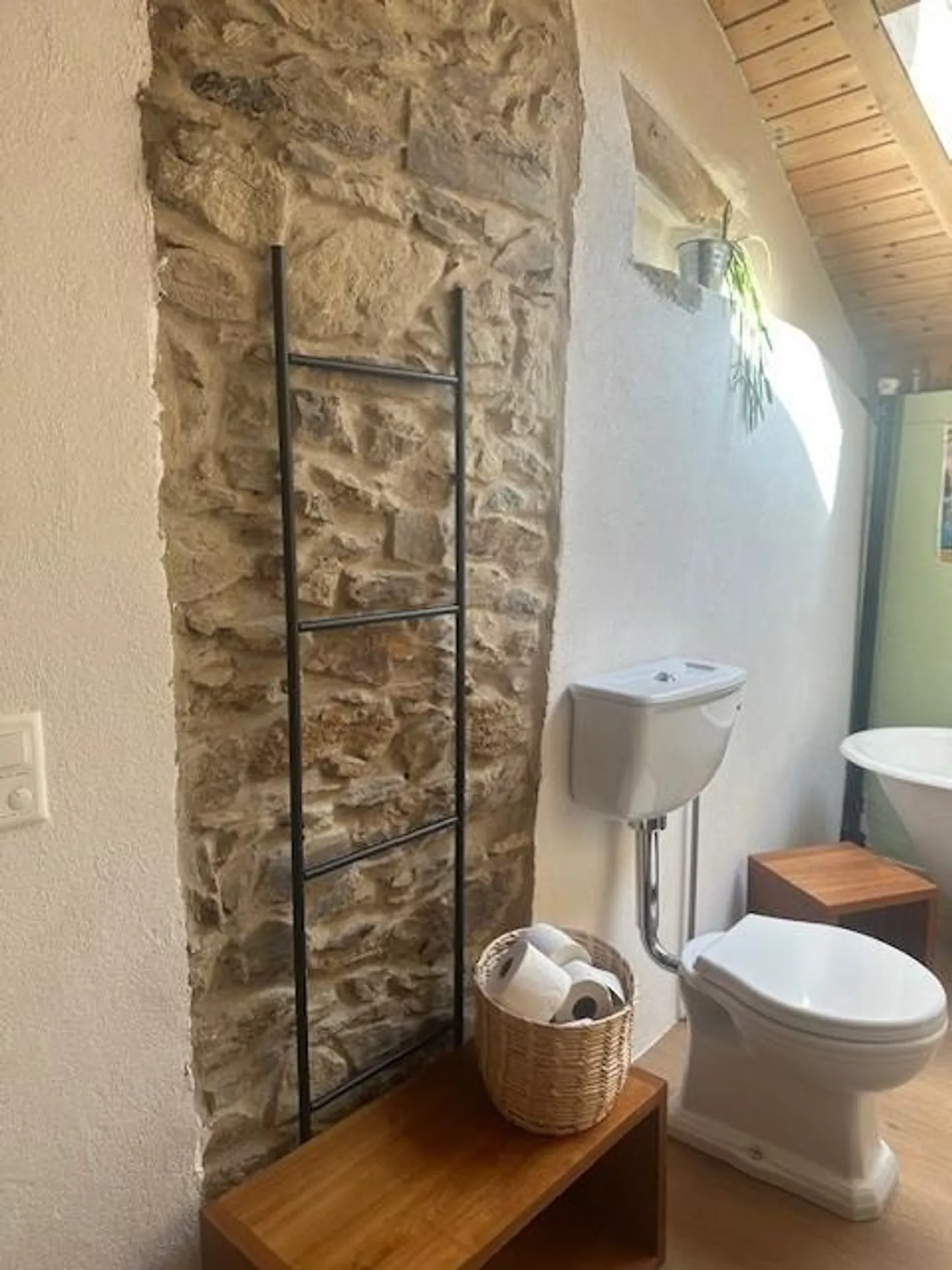 Rustico completamente ristrutturato - Cademario - Foto 4 di 12
