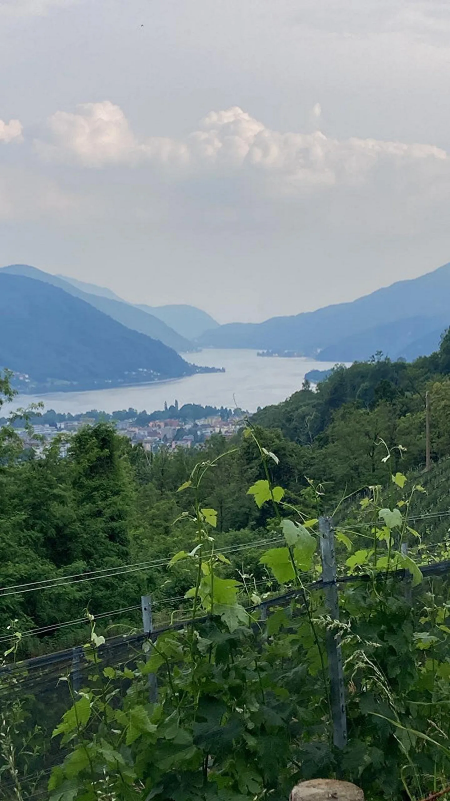 Rustico completamente ristrutturato - Cademario - Foto 10 di 12
