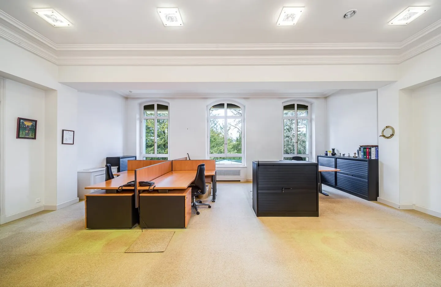 Proprietà di un maestro d'ordine commerciale a Versoix (GE) - Foto 8 di 11