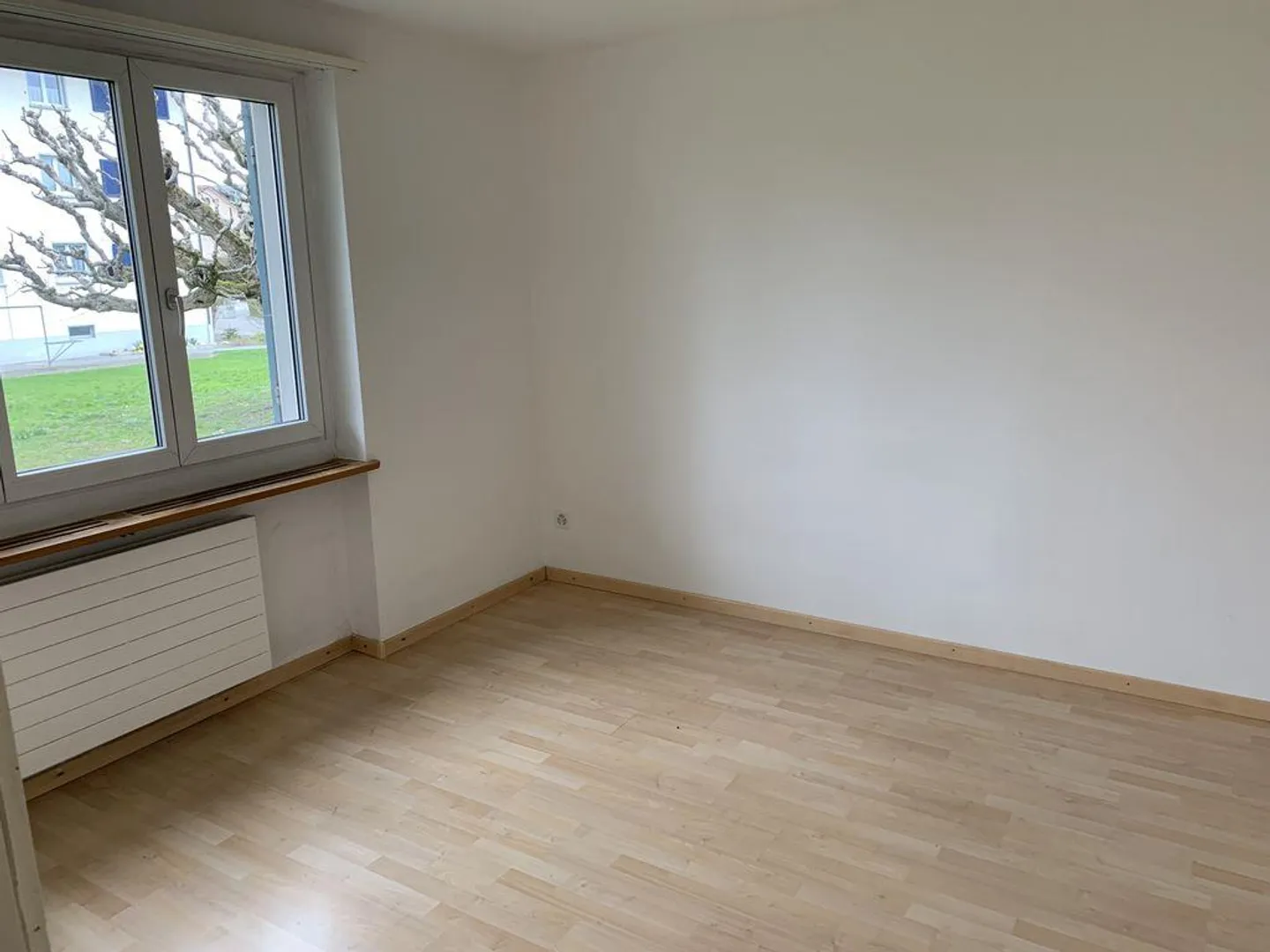 Living in the city yet in the green - Photo 4 of 13