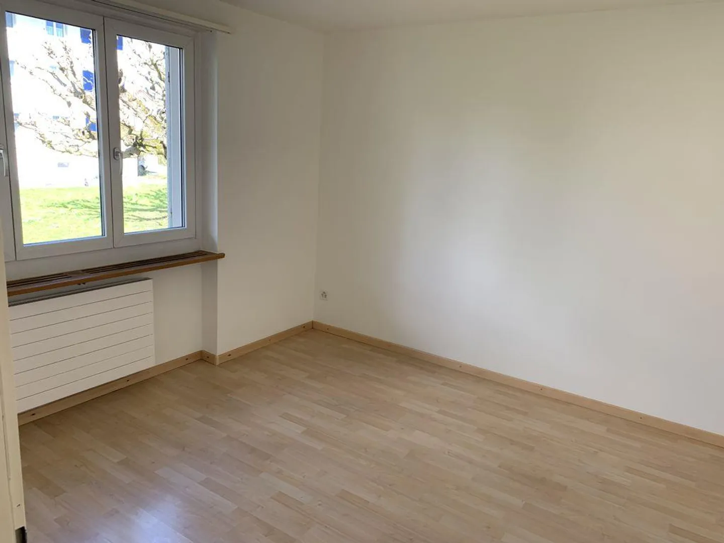 Living in the city yet in the green - Photo 7 of 13