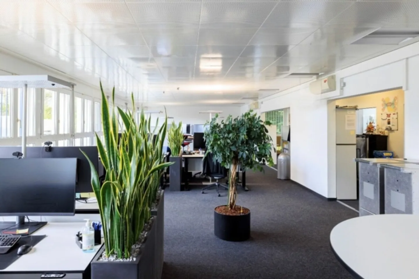 Horgen - Bureau Élargi Plug and Play - Photo 9 sur 11