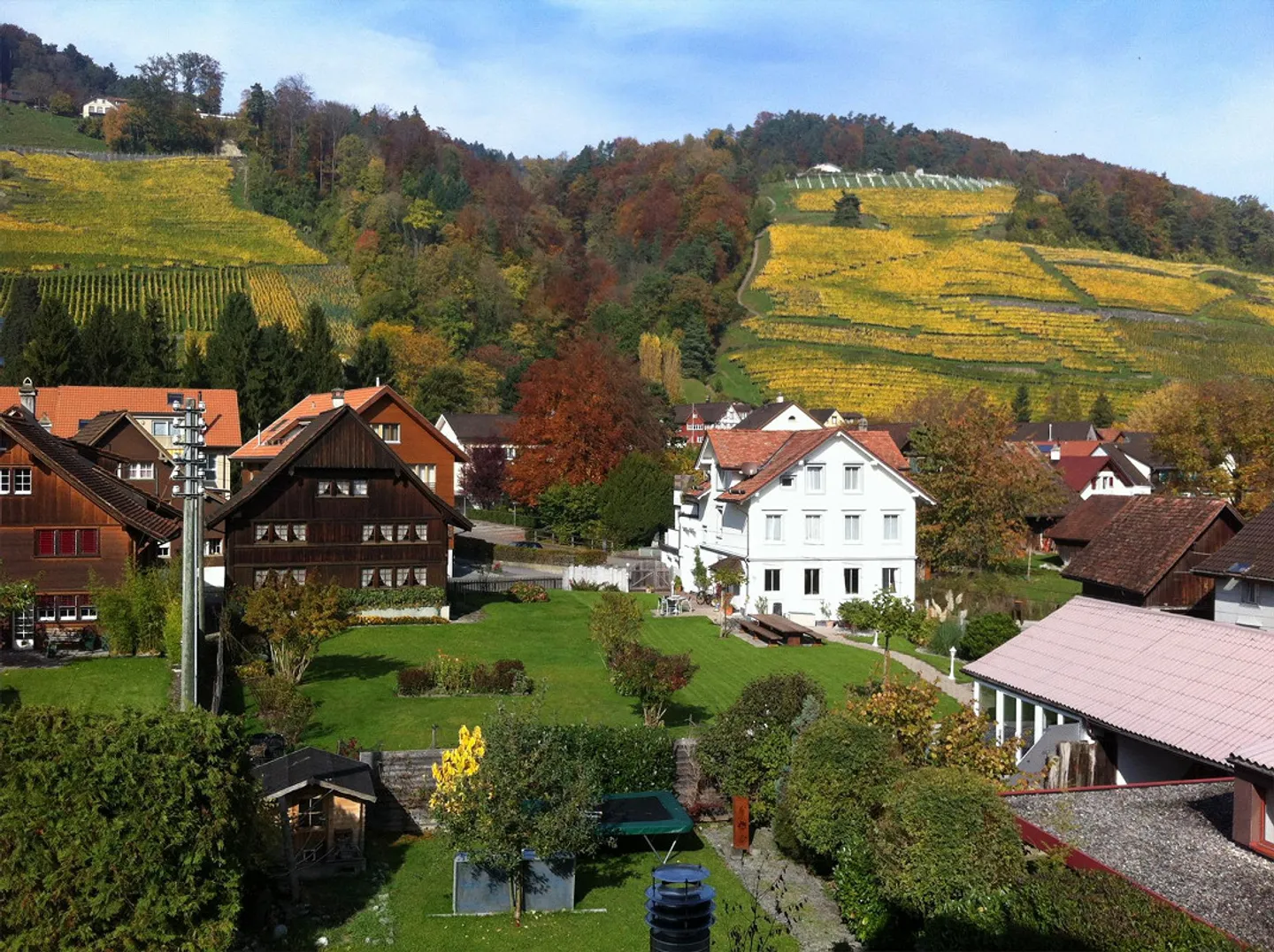 Unique: 7-Room Art Nouveau House with High Ceilings and Swimming Pond - Photo 13 of 24