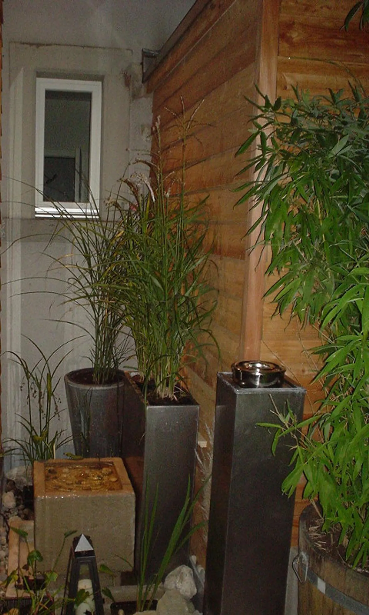 Unique: 7-Room Art Nouveau House with High Ceilings and Swimming Pond - Photo 14 of 24