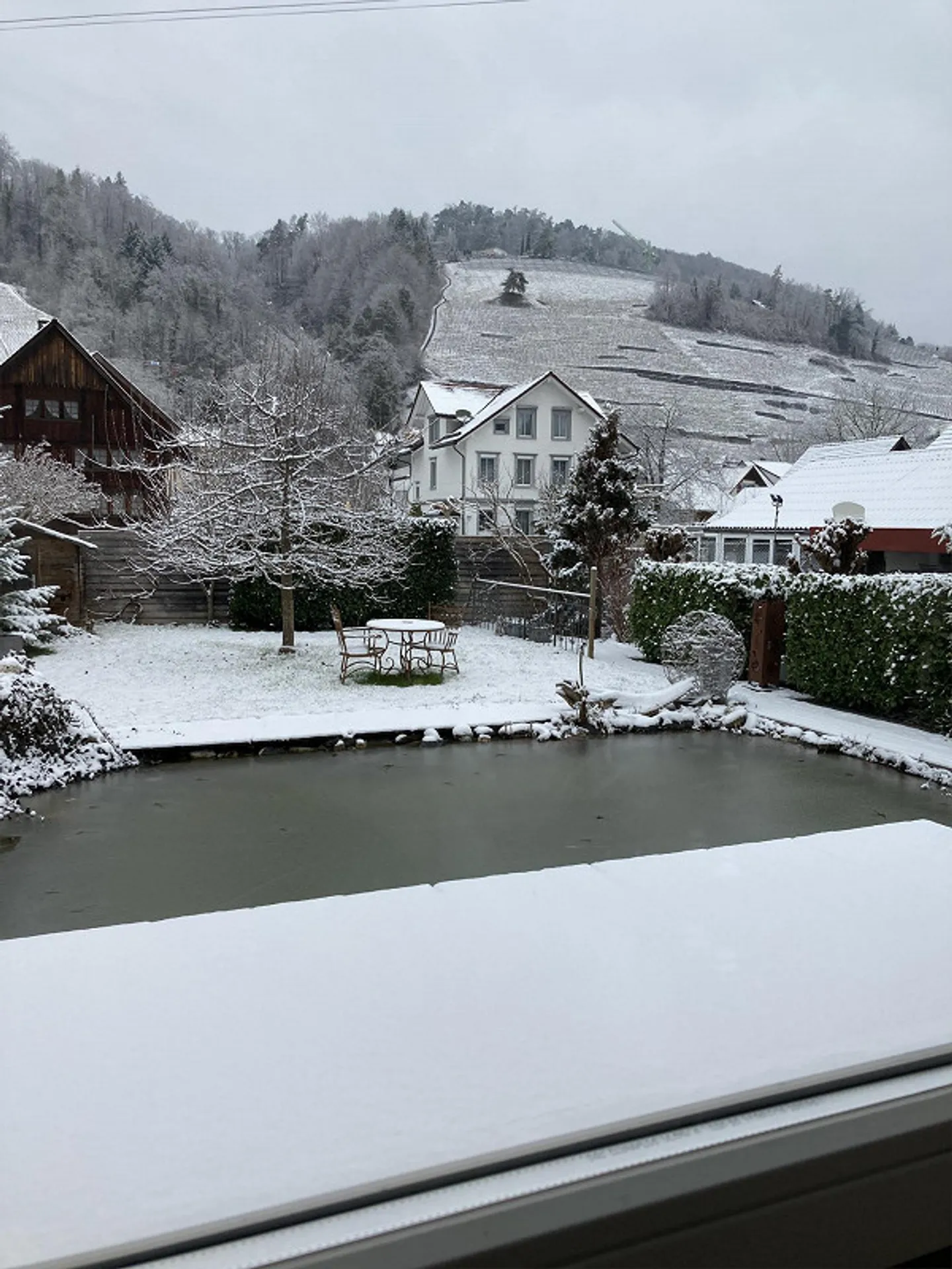 Unique: 7-Room Art Nouveau House with High Ceilings and Swimming Pond - Photo 15 of 24