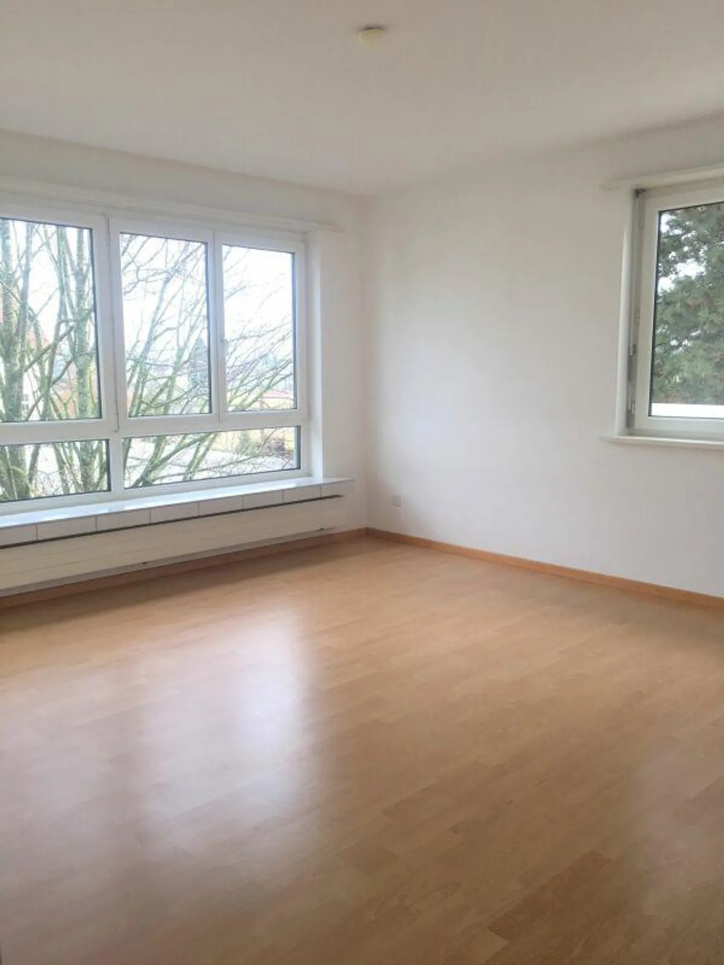 Beautiful 4.5 room apartment with balcony - Photo 3 of 7