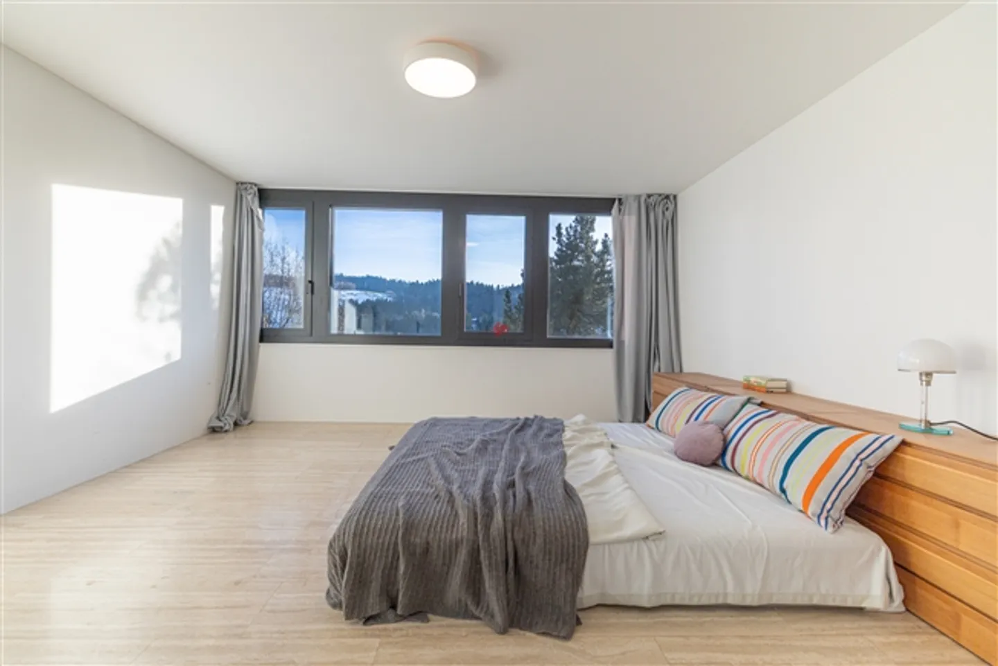 Architectural Heritage over St. Gallen - Photo 13 of 20