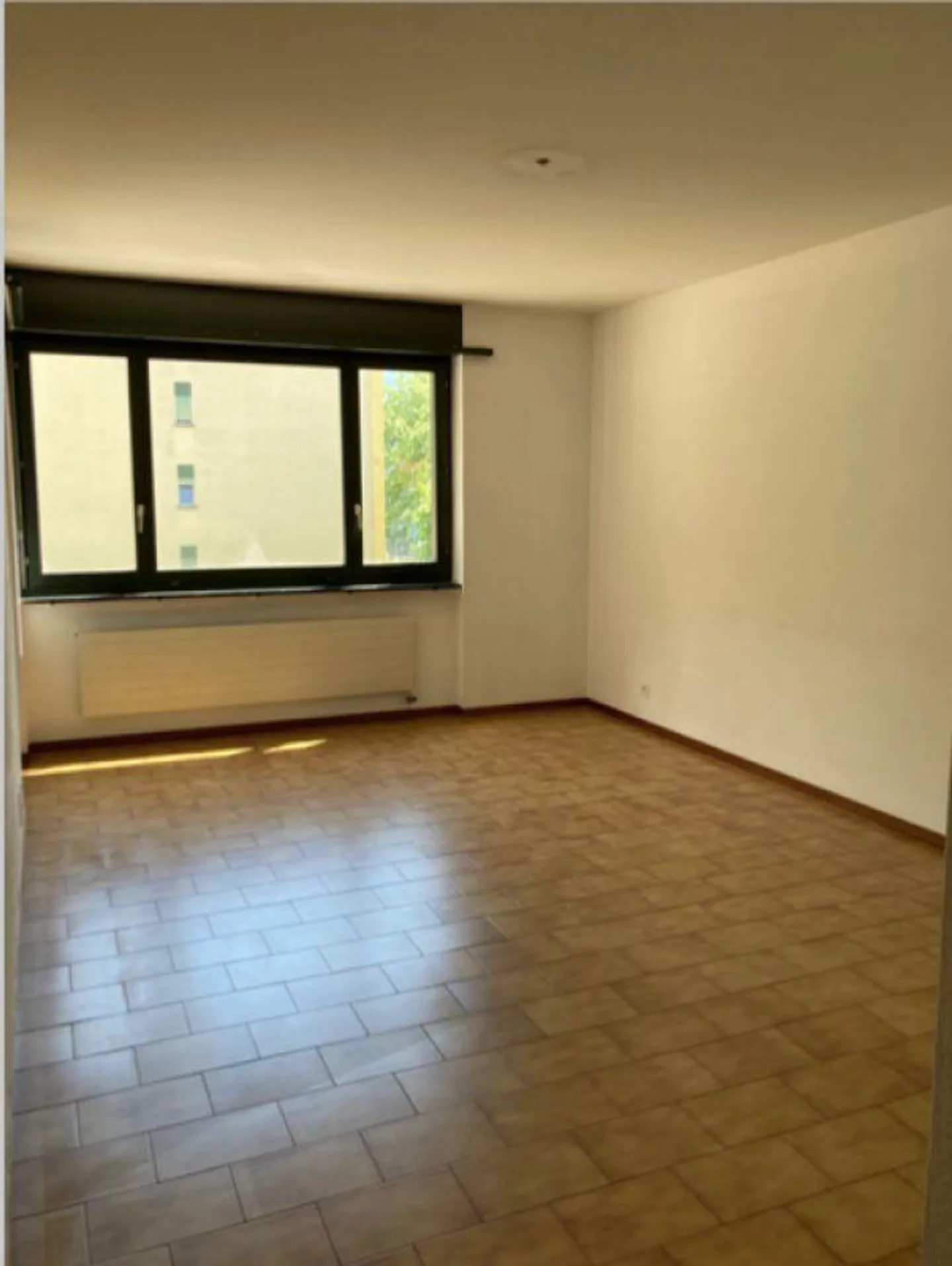 Ampio appartamento 4.5 a Biasca - Foto 4 di 7