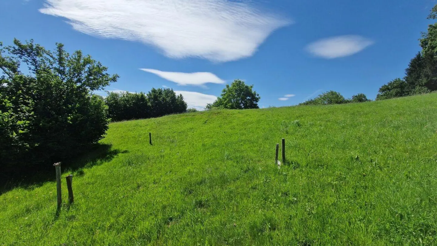 Terrain à bâtir "Wilen", Walzenhausen - Photo 4 sur 10
