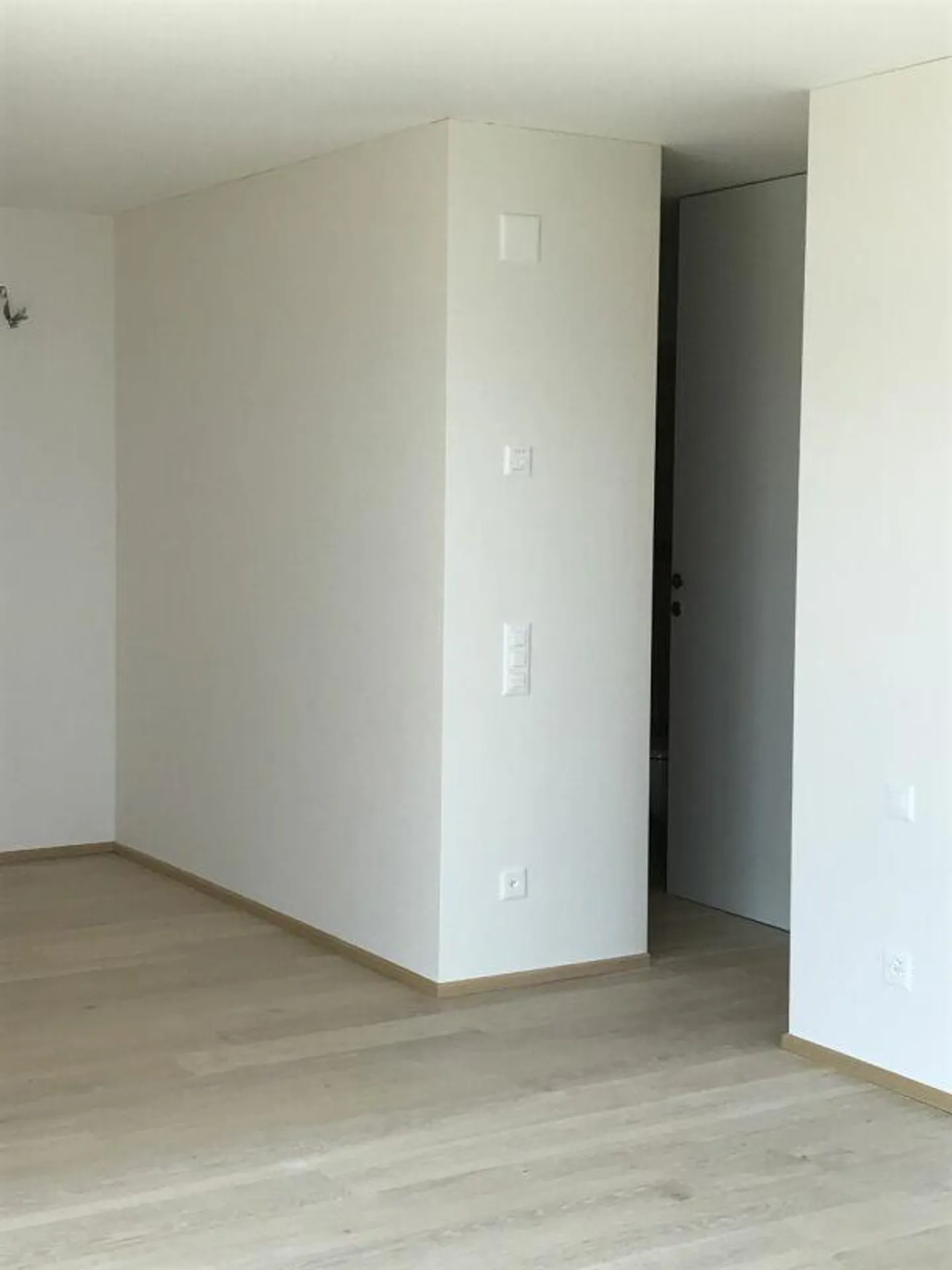 3.5-ROOM APARTMENT WITH UNMATCHED LAKE VIEW also SECONDARY RESIDENCE - Photo 22 of 30
