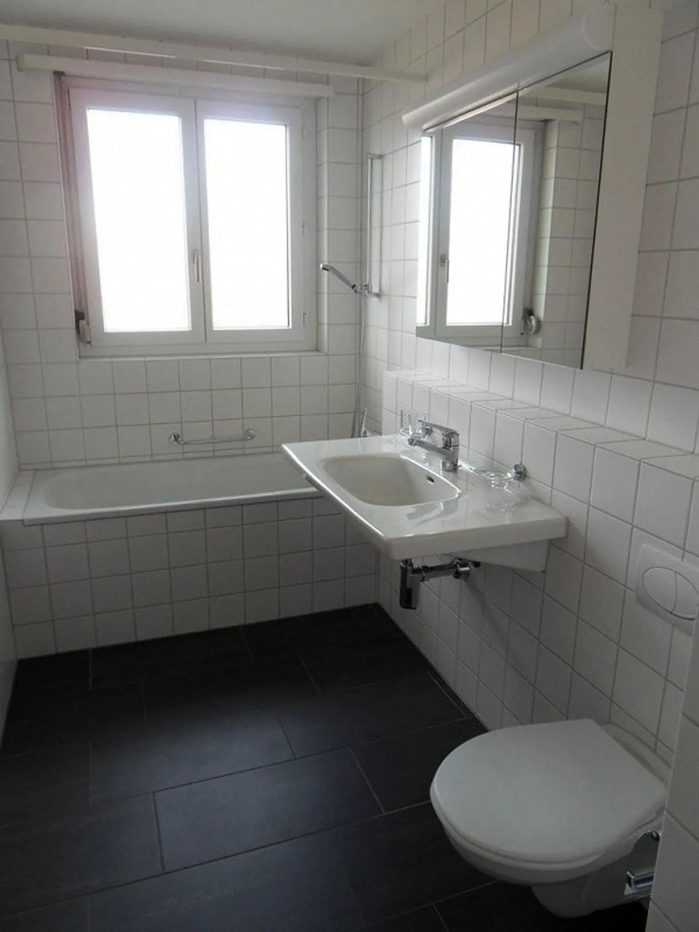 Between Limmat and Vineyards: Höngg Connects Nature with City Life - Photo 3 of 6