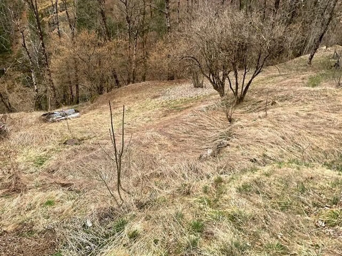 Single house for sale - Photo 12 of 13