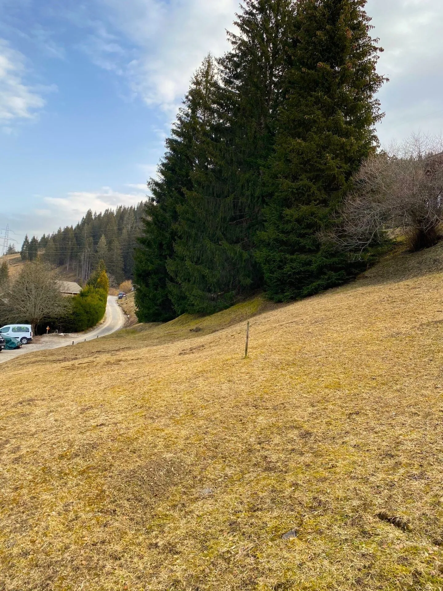 Voll erschlossenes Bauland an erhöhter Lage in Plaffeien FR - Schwarzsee - Foto 10 von 19