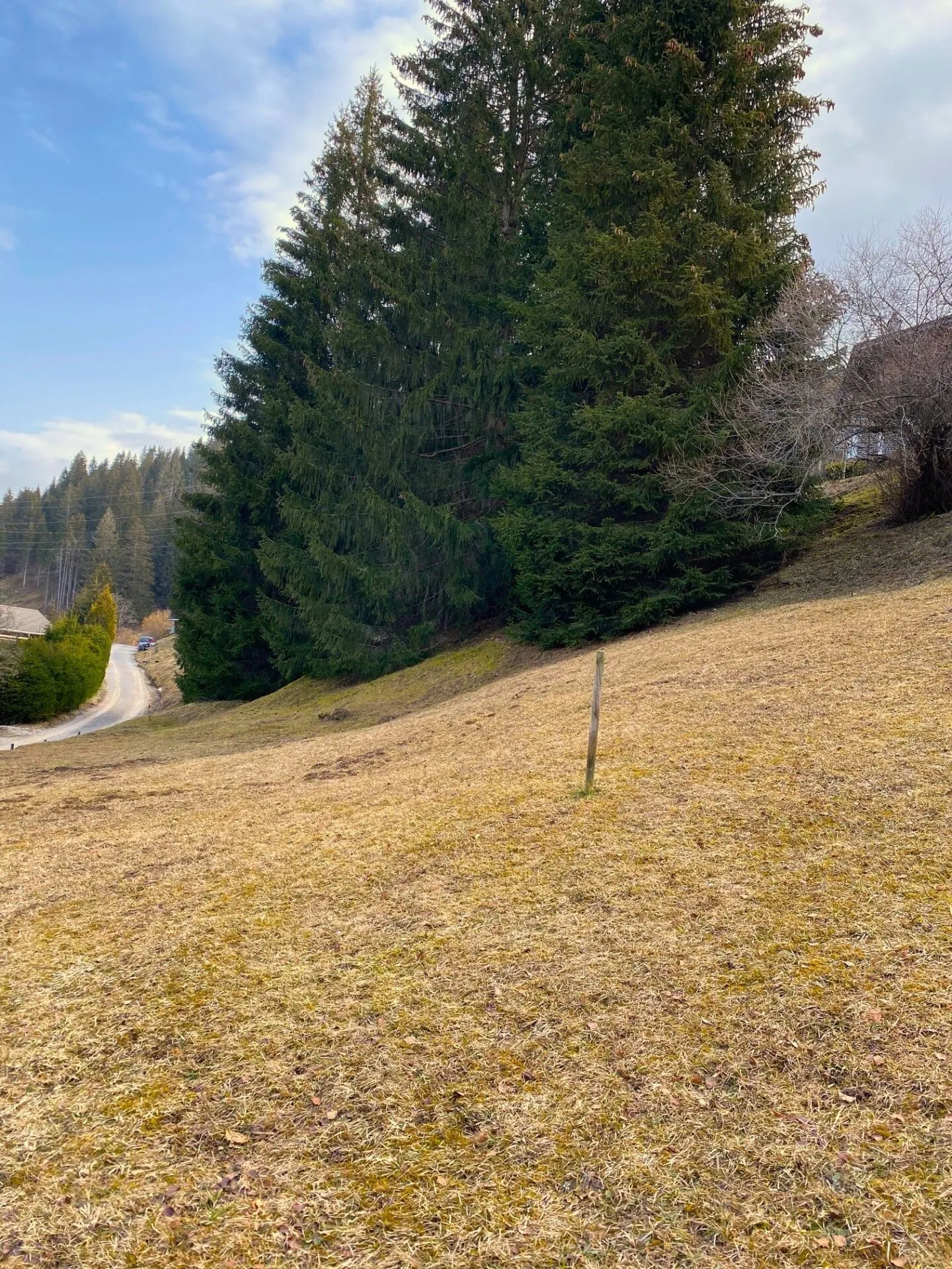 Voll erschlossenes Bauland an erhöhter Lage in Plaffeien FR - Schwarzsee - Foto 11 von 19