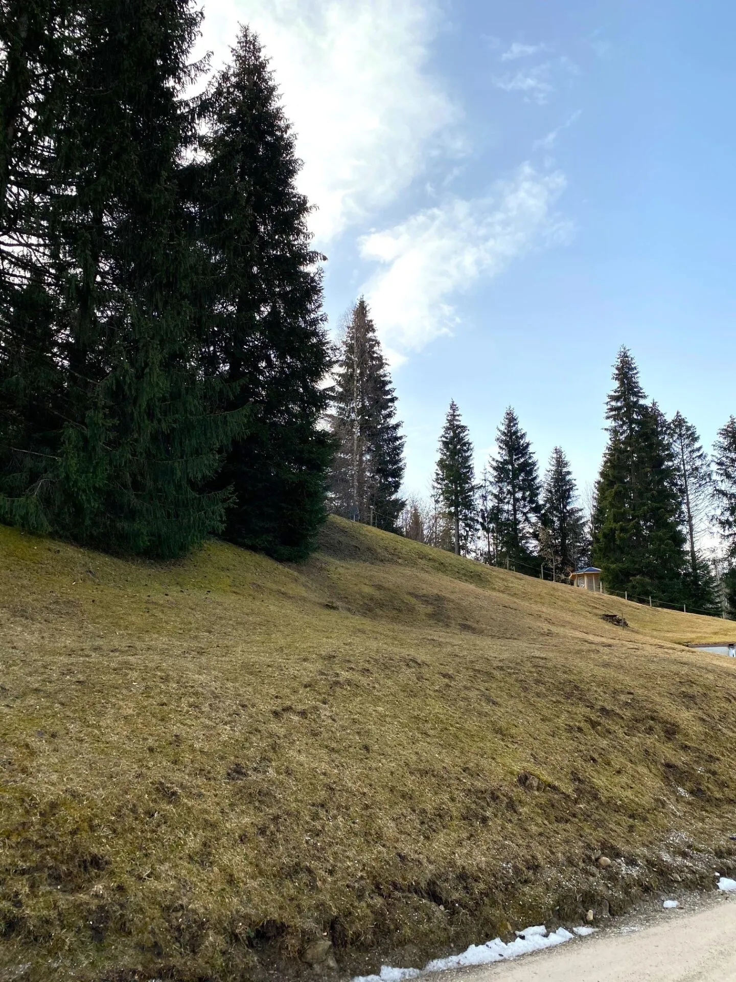 Voll erschlossenes Bauland an erhöhter Lage in Plaffeien FR - Schwarzsee - Foto 12 von 19