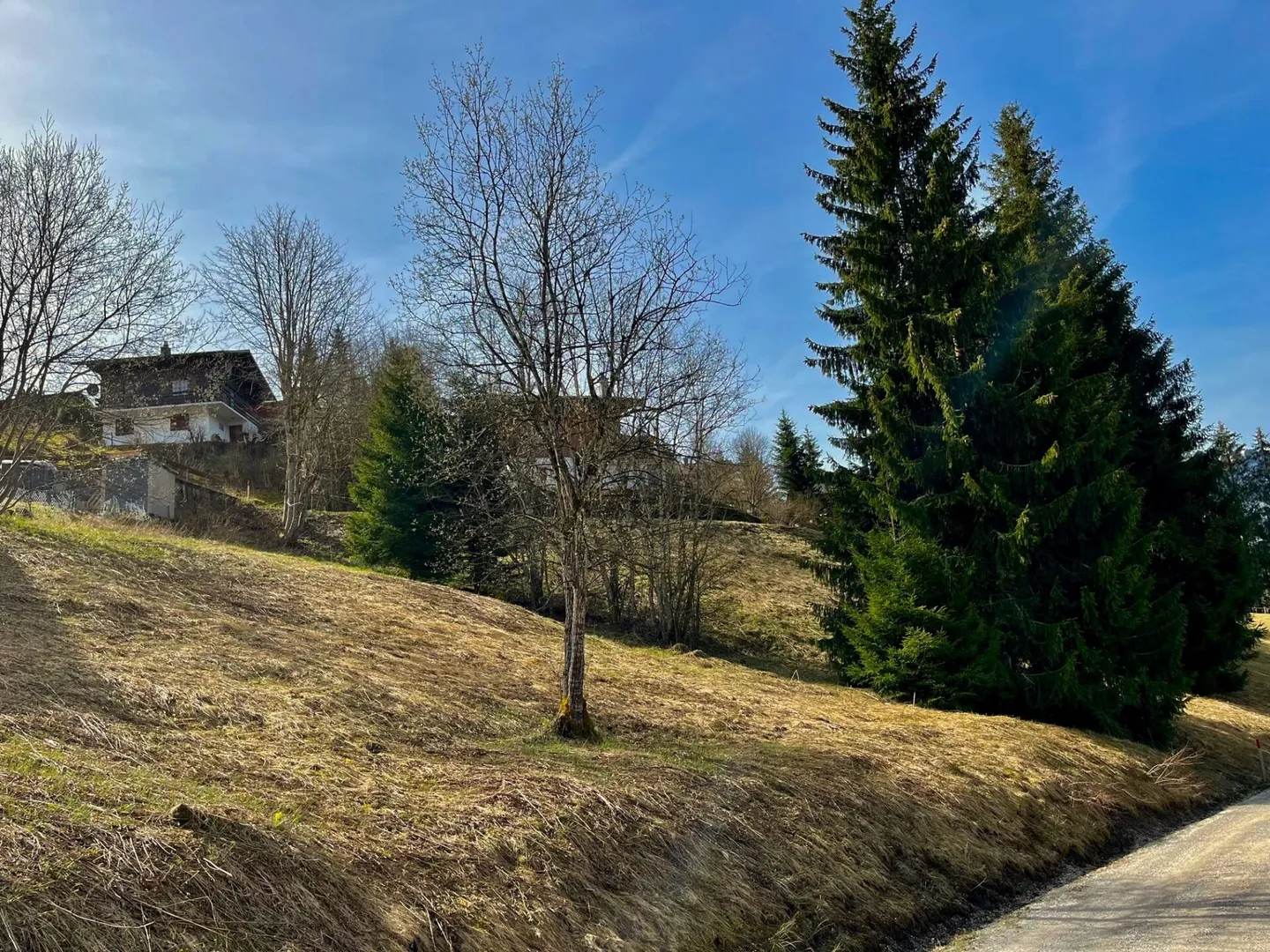 Voll erschlossenes Bauland an erhöhter Lage in Plaffeien FR - Schwarzsee - Foto 14 von 19