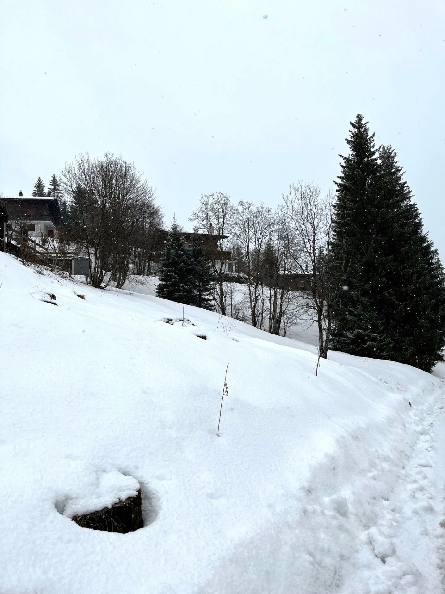 Voll erschlossenes Bauland an erhöhter Lage in Plaffeien FR - Schwarzsee - Foto 15 von 19