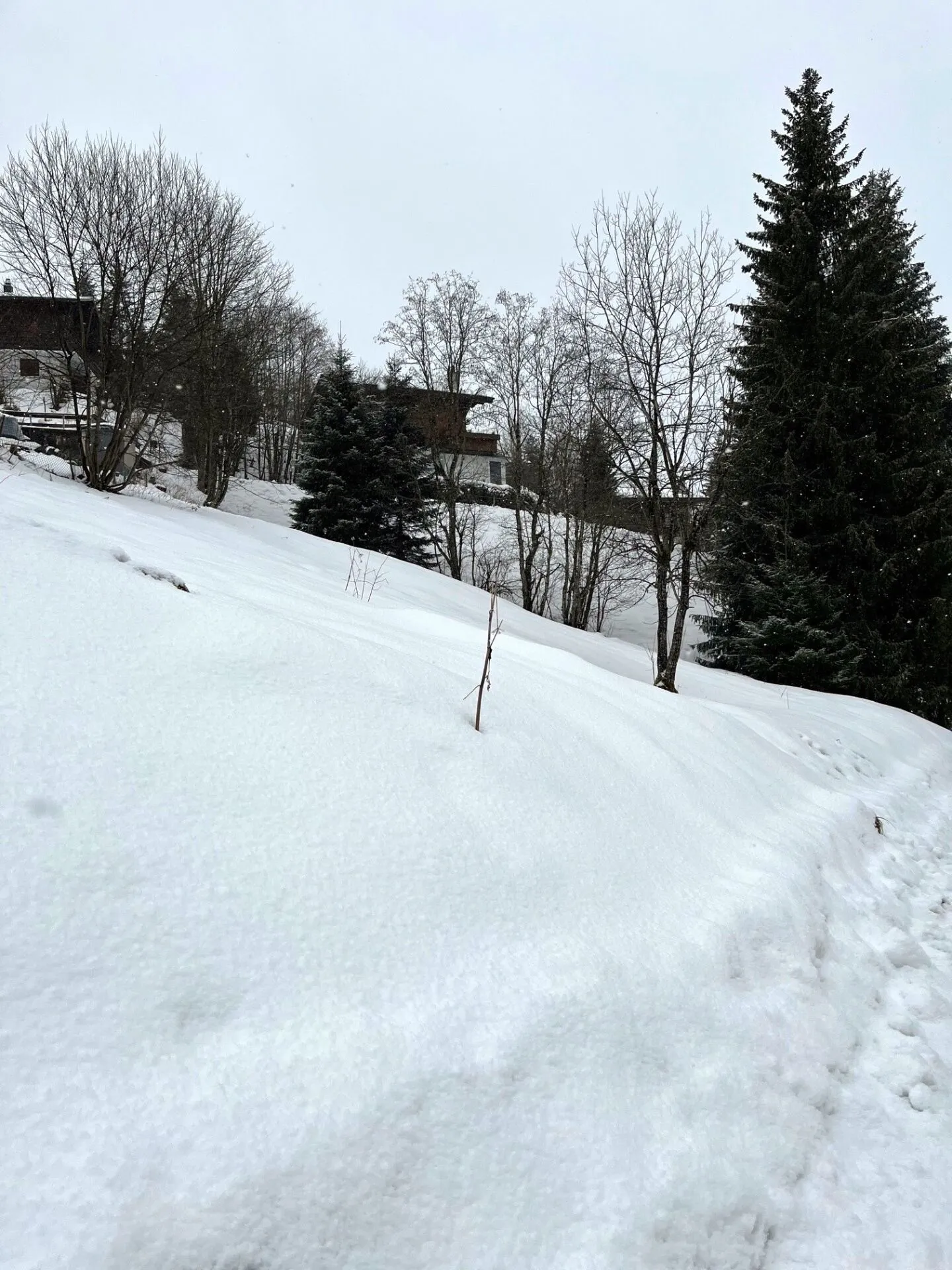 Voll erschlossenes Bauland an erhöhter Lage in Plaffeien FR - Schwarzsee - Foto 17 von 19