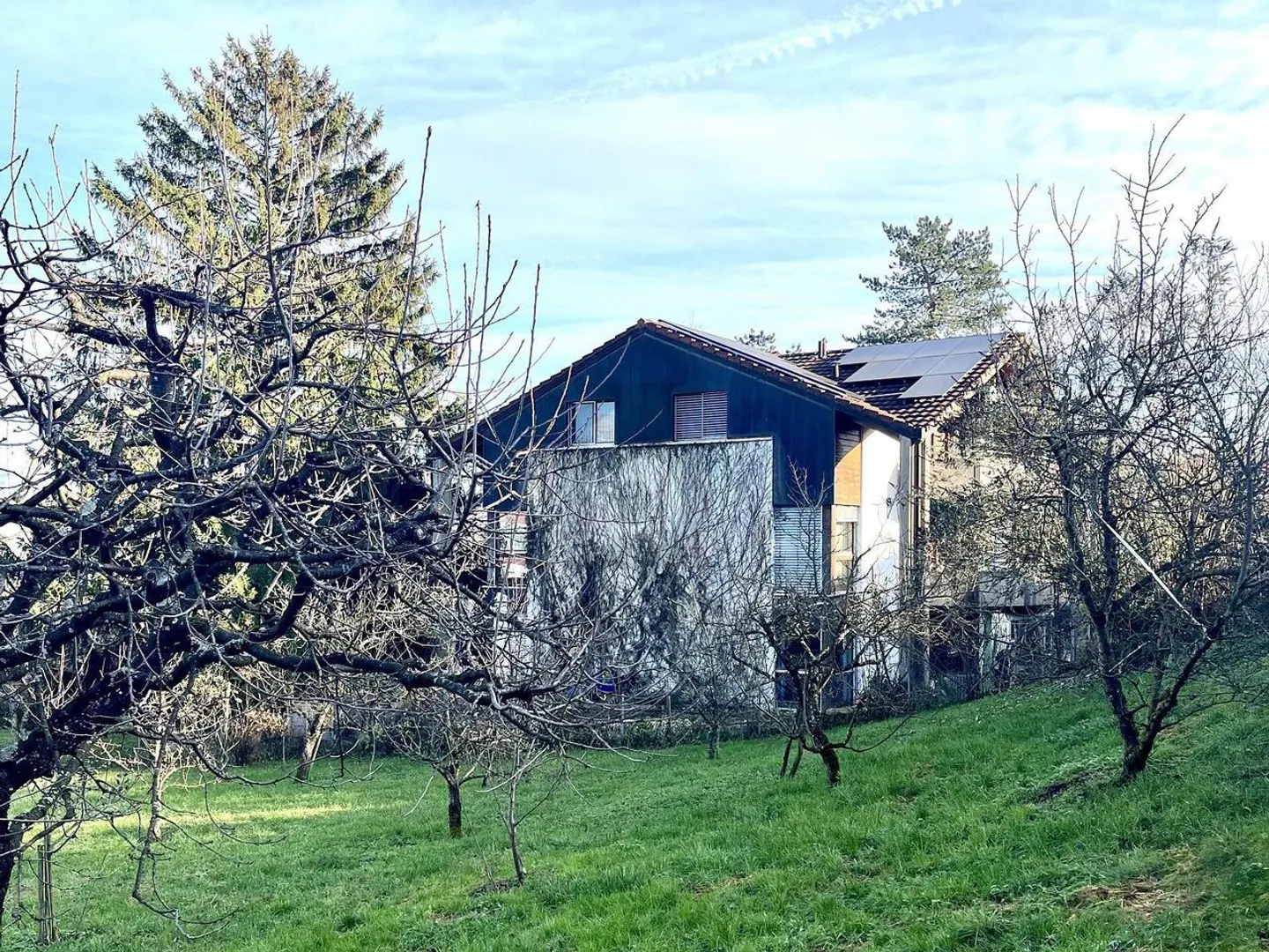 BAIGNÉ DE LUMIÈRE AVEC POTENTIEL - Photo 3 sur 4