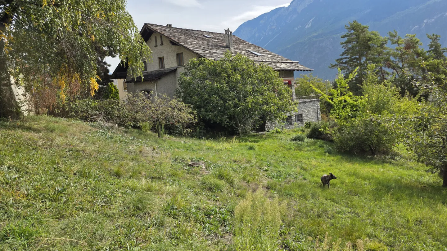 Terreno redditizio in centro città per abitazioni di gruppo - Foto 3 di 13