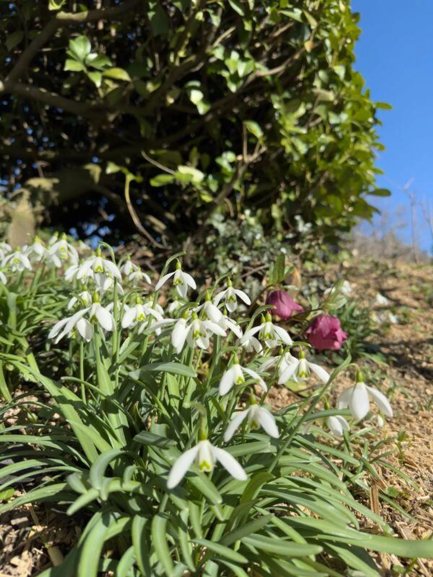 Geräumiges Einfamilienhaus mit Wintergarten - Foto 26 von 30
