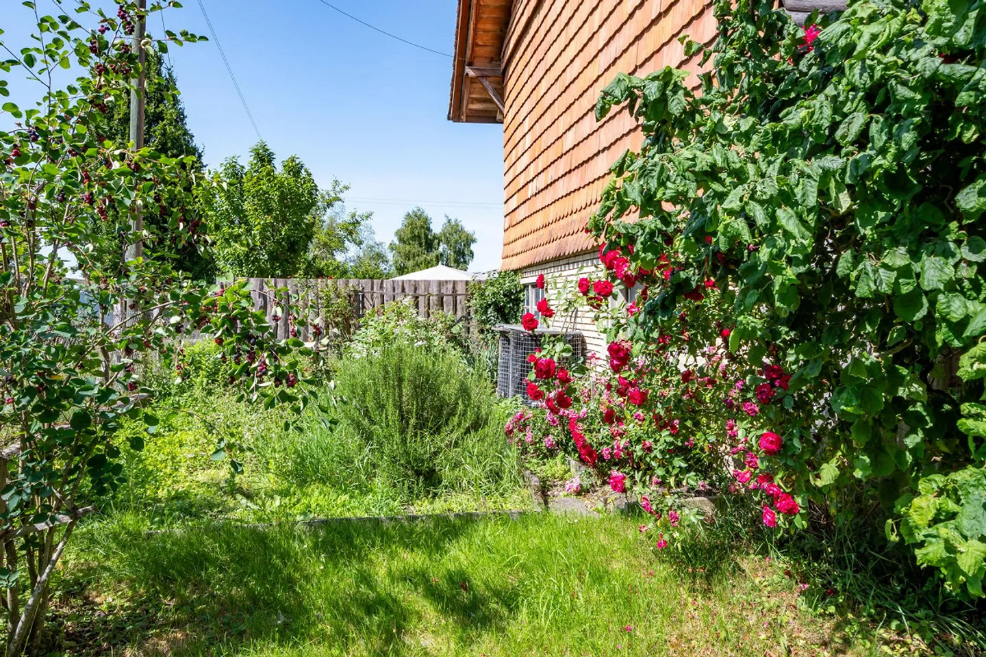 Casa residenziale per famiglie con potenziale di espansione - Foto 12 di 16