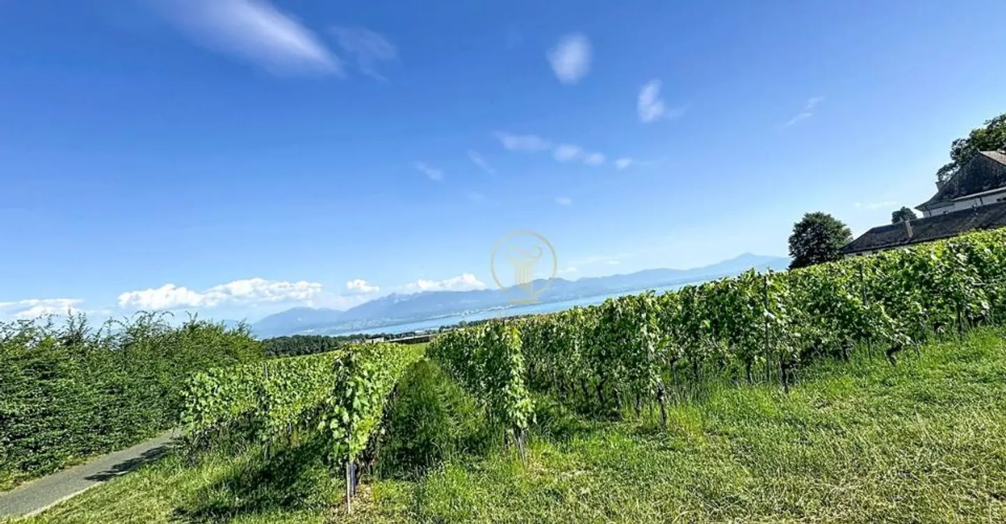 Appartamento Moderno con Vista Stupenda - Foto 1 di 11
