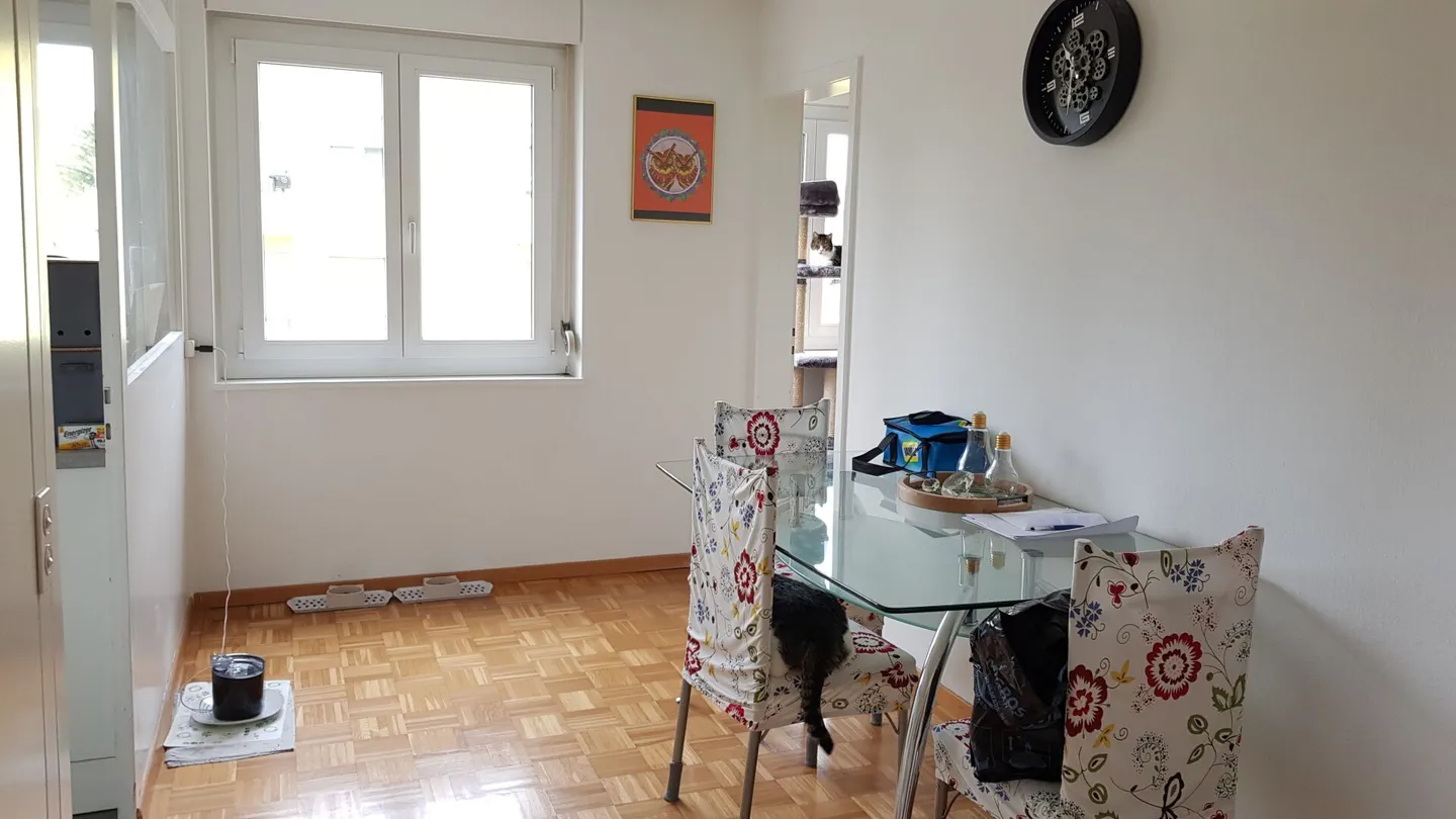 Appartamento accogliente di 4,5 stanze – La tua nuova casa per sentirti a tuo agio - Foto 4 di 11