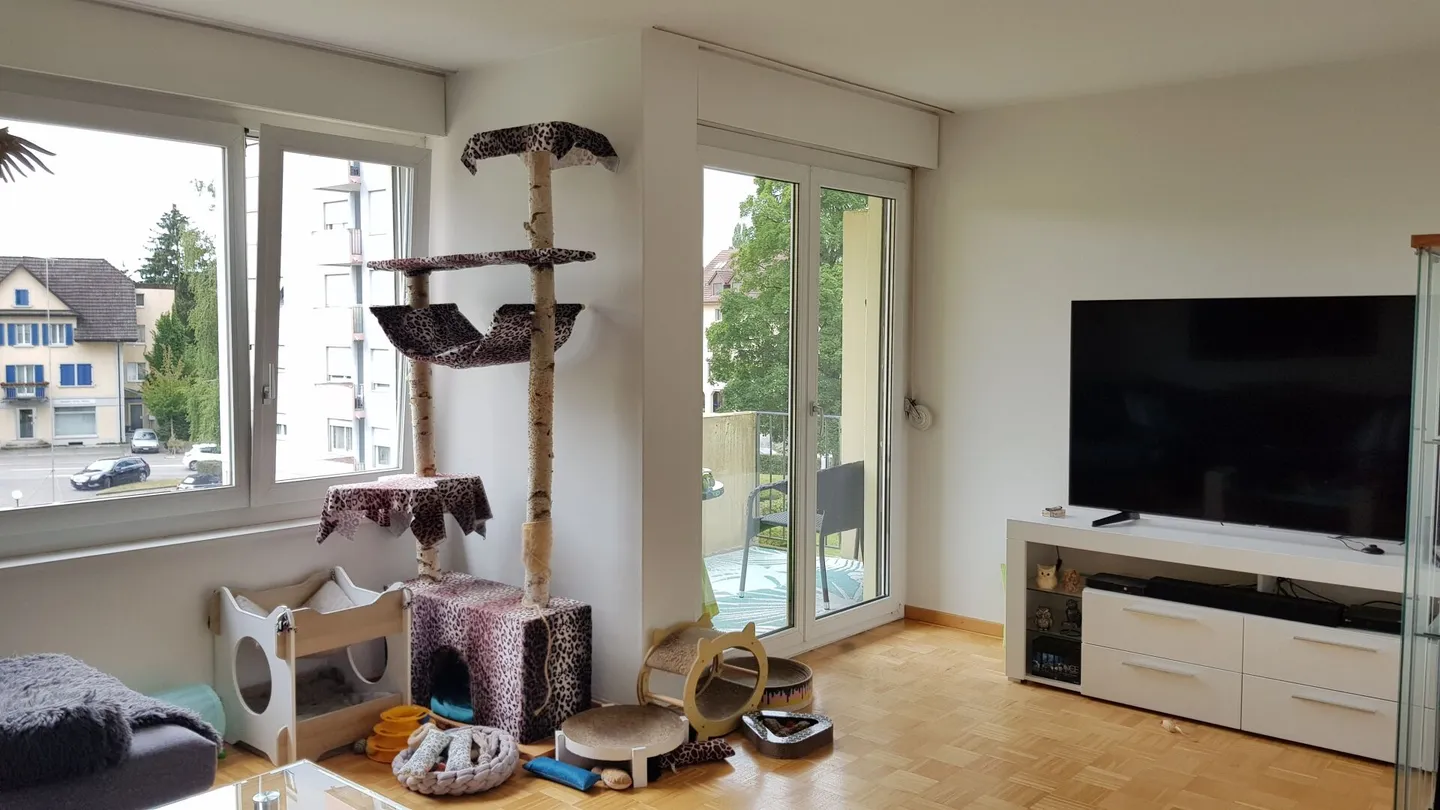 Appartamento accogliente di 4,5 stanze – La tua nuova casa per sentirti a tuo agio - Foto 7 di 11
