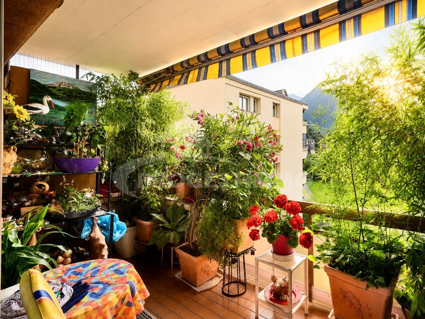 Charming Apartment with Mountain View - Photo 8 of 9