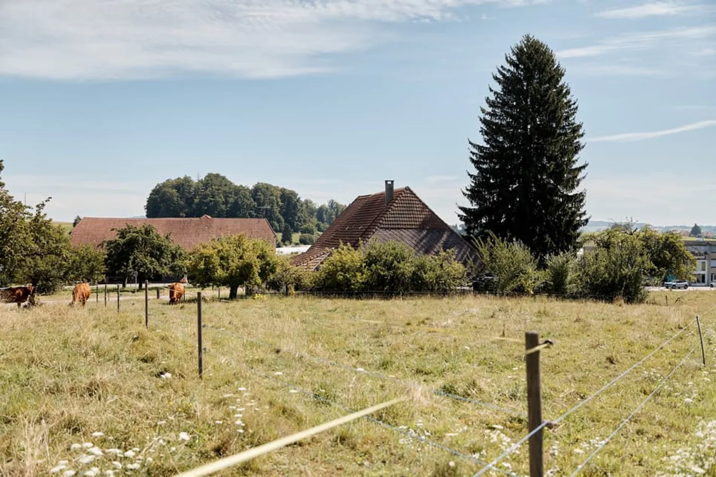 BAUERNHAUS MIT CHARME UND WEITBLICK IN BÜCHSELN - Foto 12 von 13