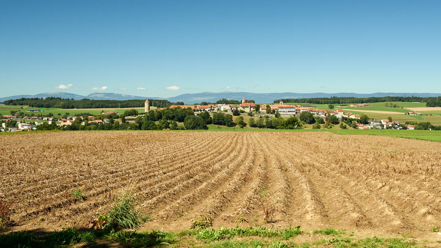 Ferme isolée avec annexes. Grand terrain et gros potentiel. - Photo 1 sur 7