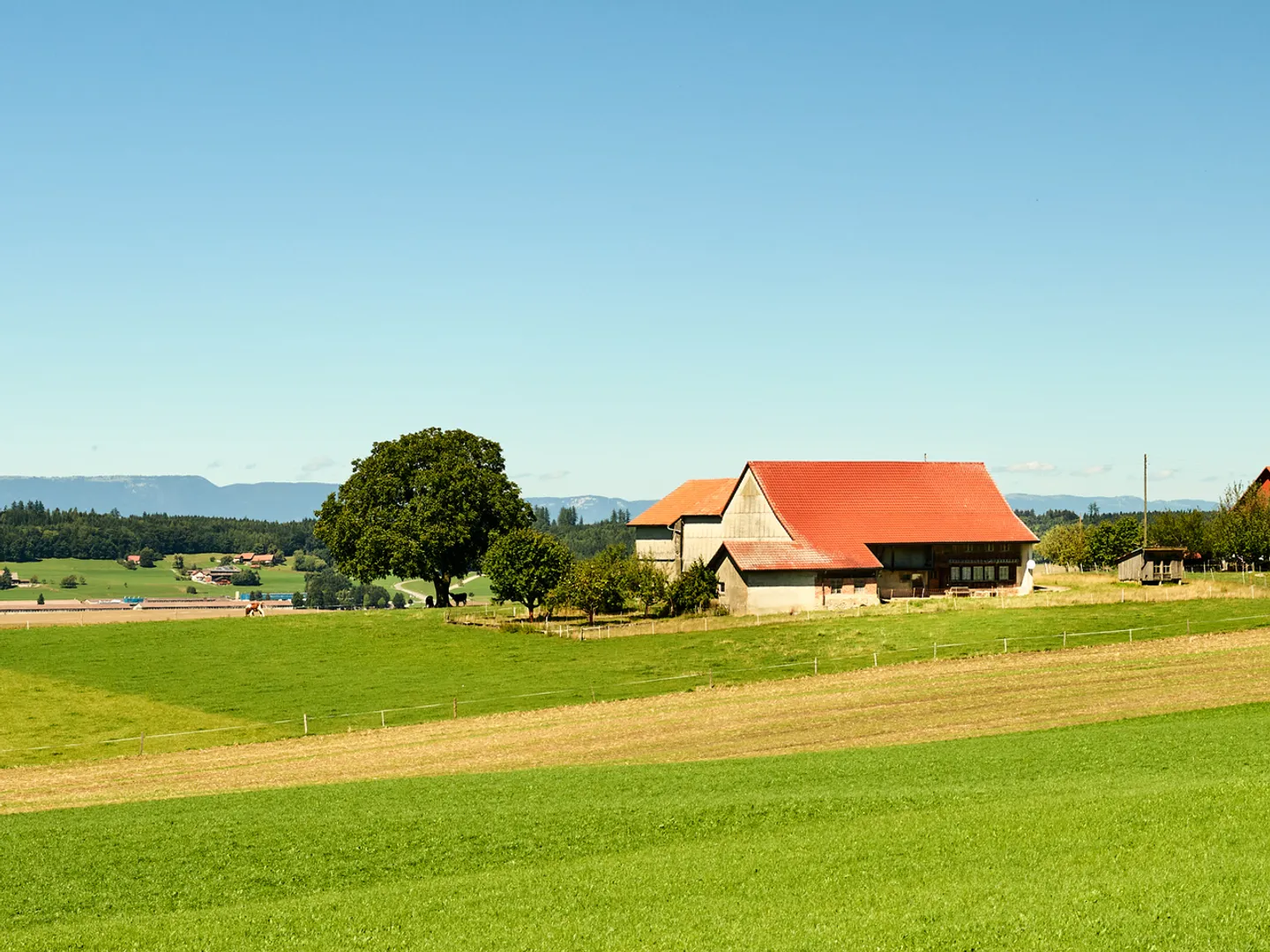Ferme isolée avec annexes. Grand terrain et gros potentiel. - Photo 6 sur 7