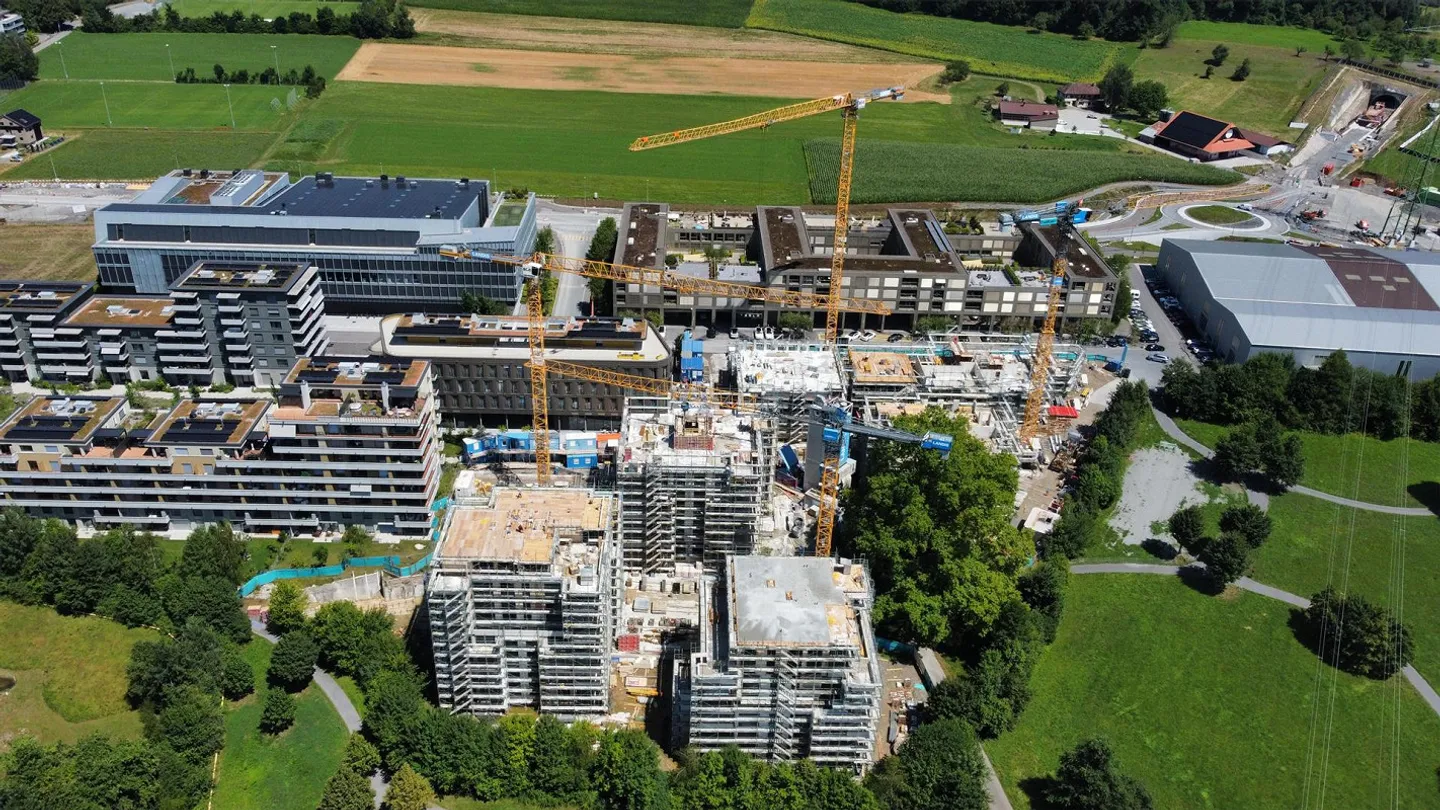 Livingstone CHAMA: Giornata porte aperte: 14 marzo 2026, dalle 10:00 alle 14:00 - Foto 6 di 6