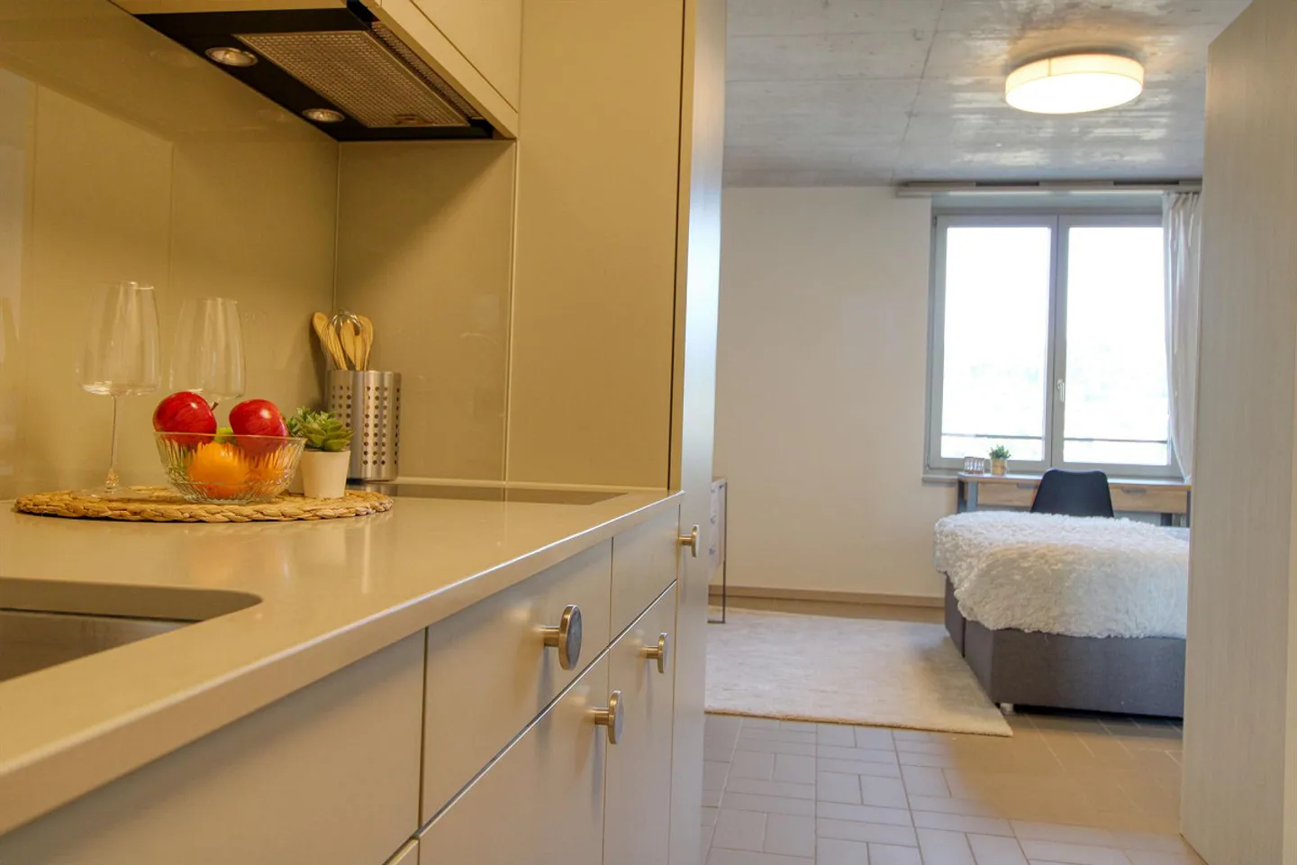 Coliving moderne dans le Schlieren dynamique - Photo 1 sur 25