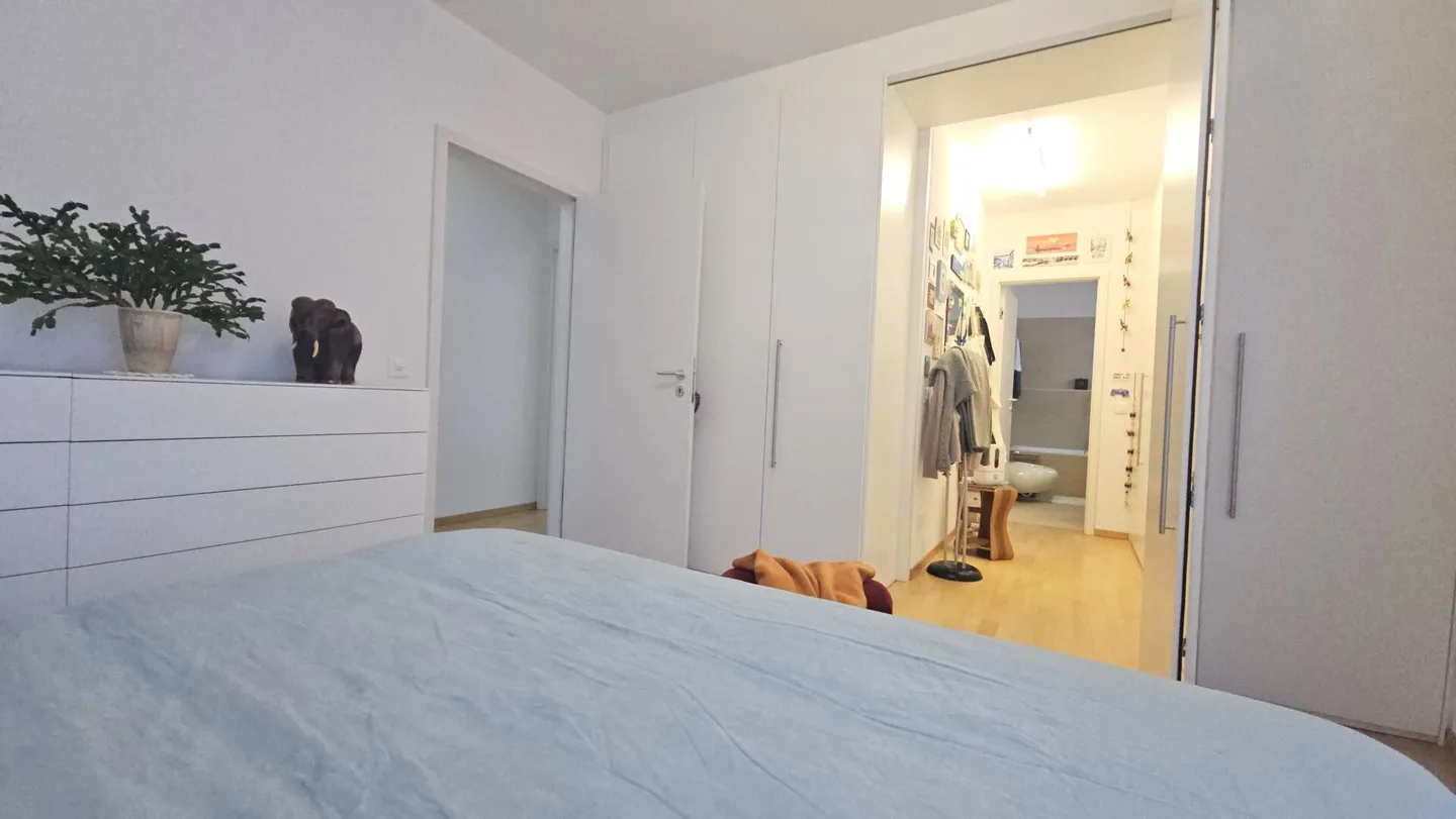 DESIGN APARTMENT IN GIUBIASCO - Photo 8 of 13