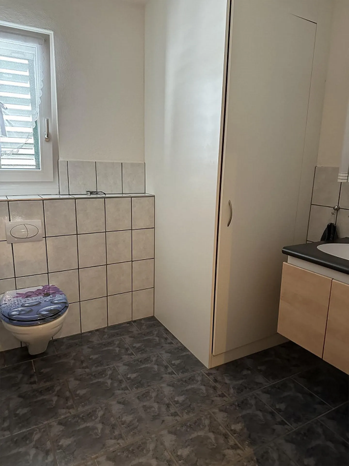 6 1/2 Room House Section in the Green on a Farm in Benken SG - Photo 6 of 14