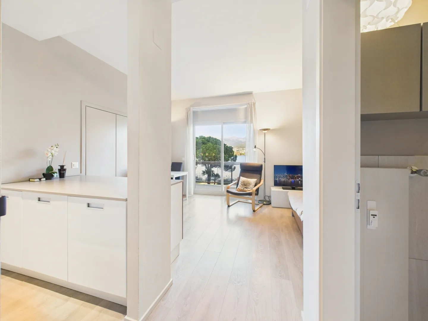 Elegant one-room apartment with lake view in Paradiso renovated - Photo 7 of 12