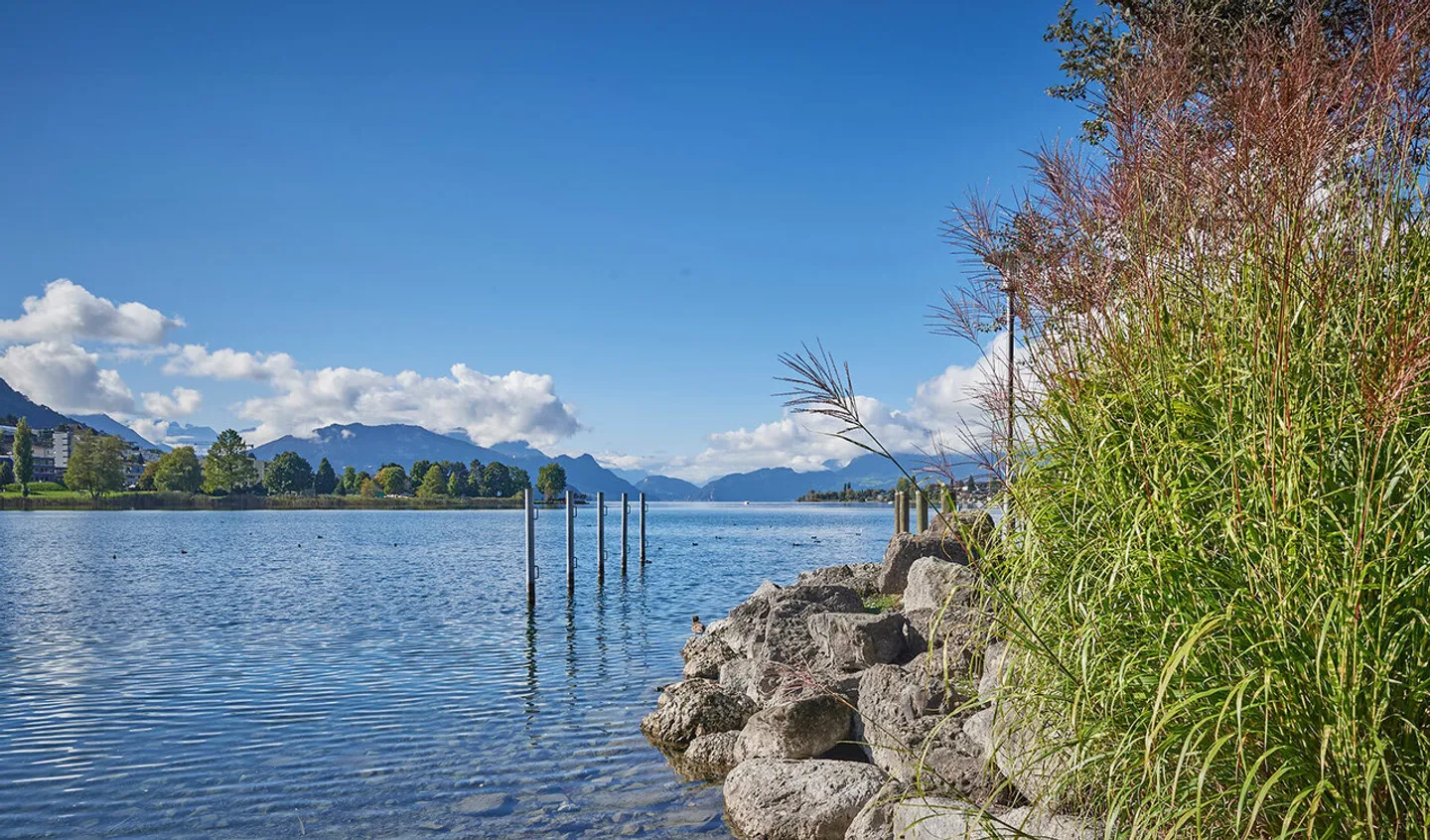 Attico sopra i tetti di Küssnacht - posizione residenziale urbana con vista sul Rigi - Foto 17 di 18