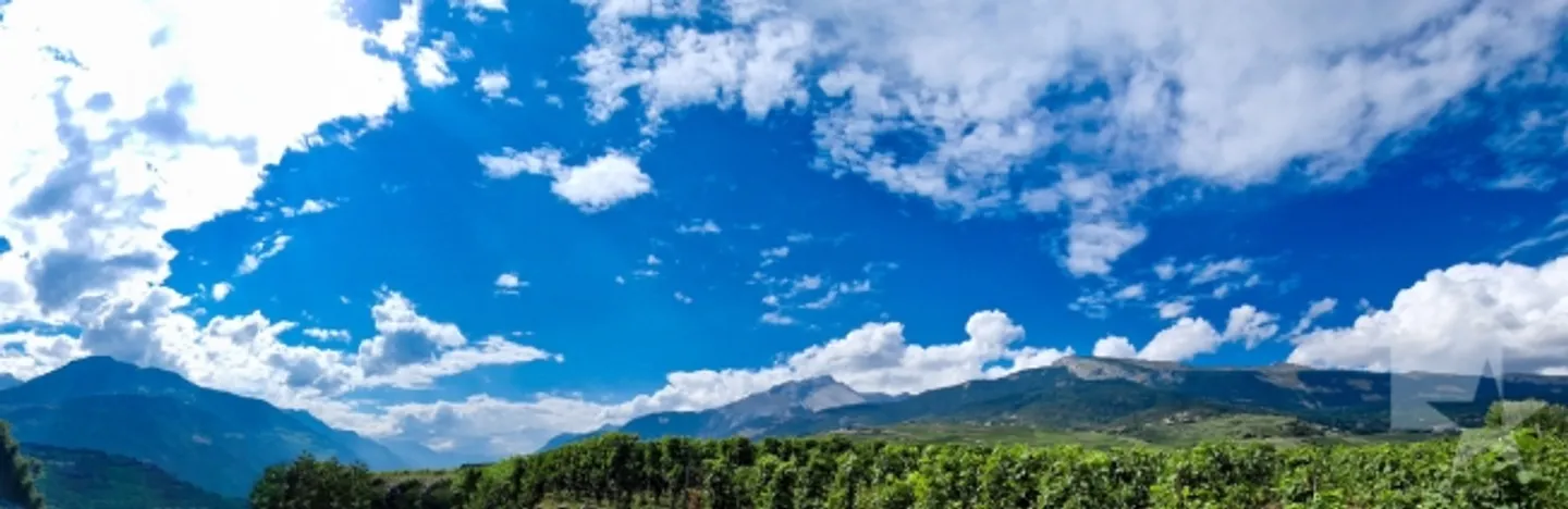 «Terrain de 900 m2, possibilité d’avoir 470 m2 supplémentaires» - Photo 2 sur 3