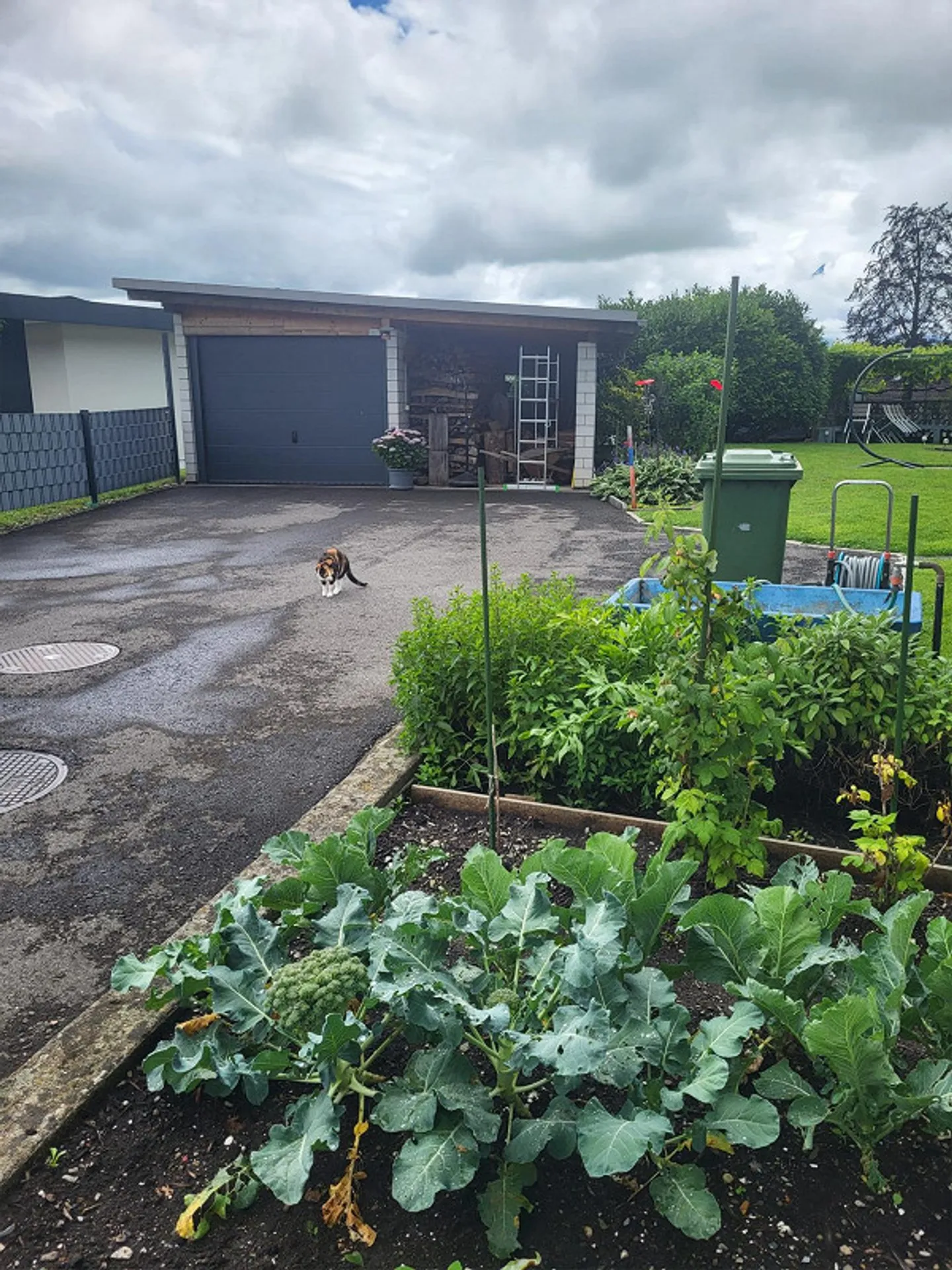 Charming 6-Room Single-Family House in Sennwald - Photo 2 of 17