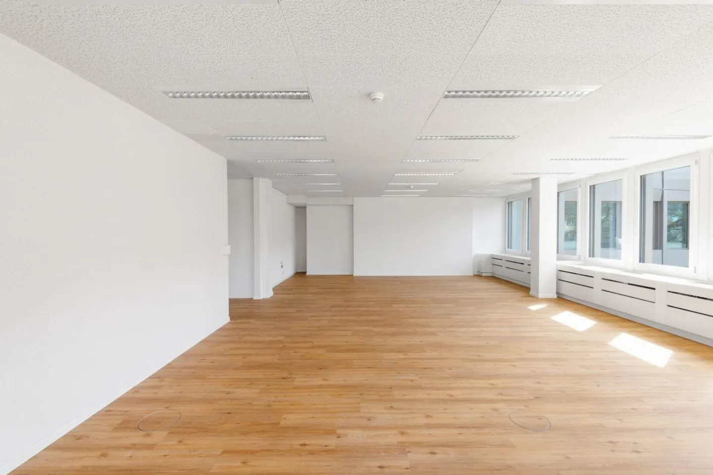 Friesenberg75 - developed office with shared services - Photo 3 of 13