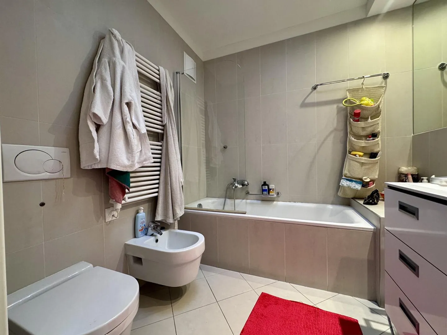 BEAUTIFUL 5.5 ROOMS WITH VIEW OF GREENERY AND MOUNTAINS IN SORENGO - Photo 8 of 9