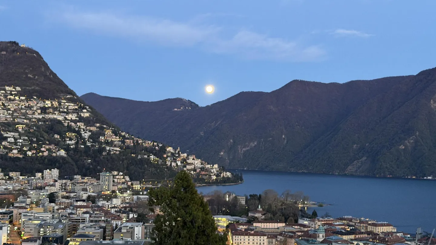 Attika- Loft-Feeling mit Panoramablick über Lugano - Foto 15 von 16
