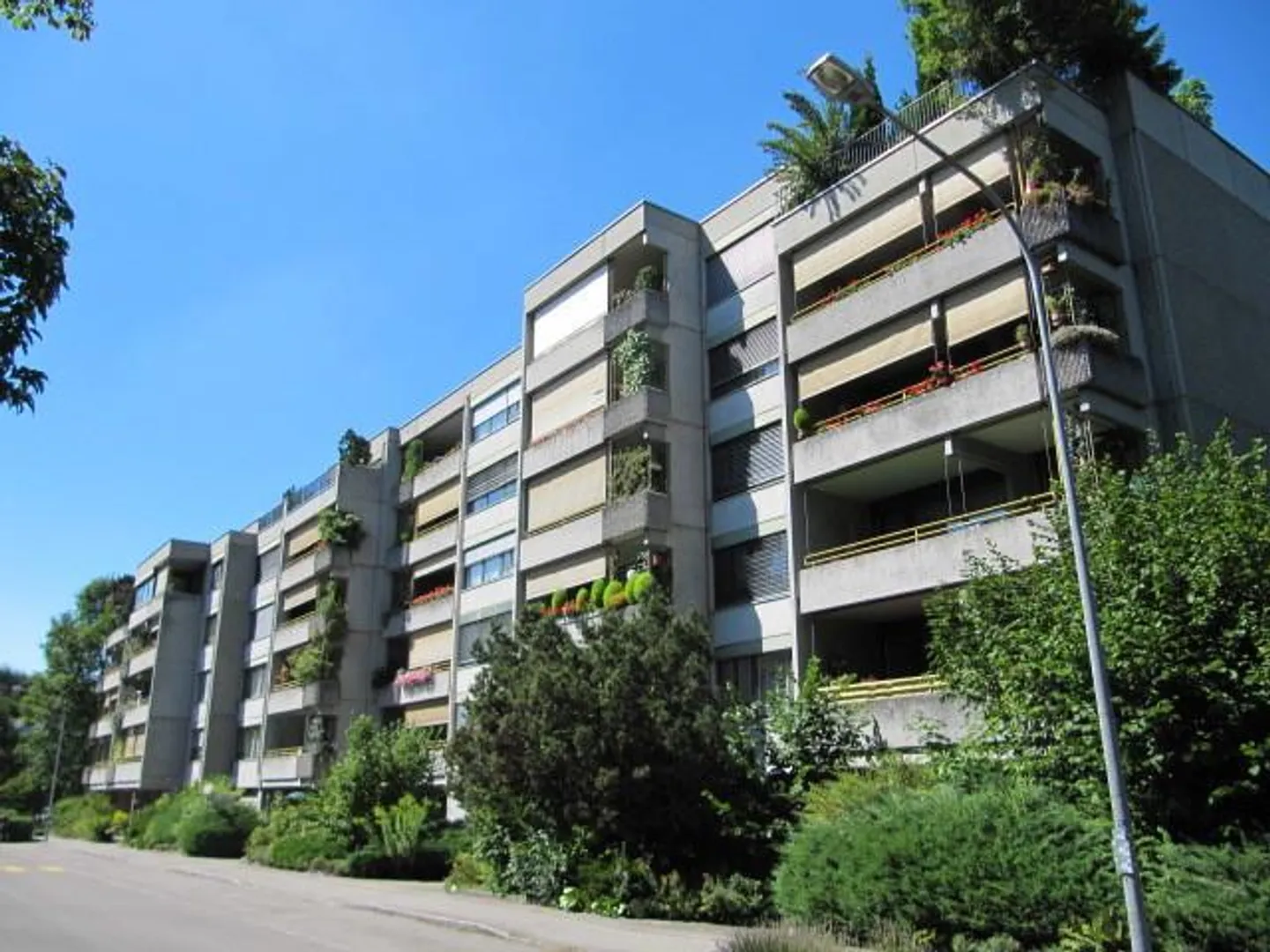 Charmante Wohnung in Muri - Foto 1 von 5