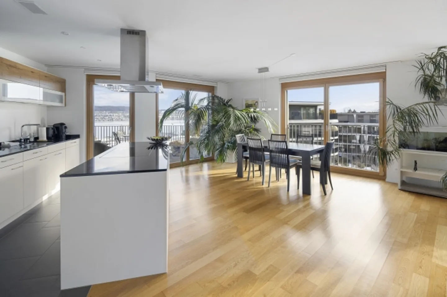 Dream Home with Two Terraces and Stunning Lake View - Photo 6 of 13