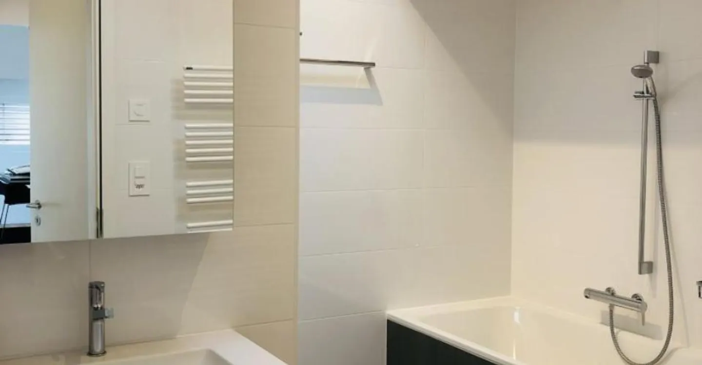 Luxury Apartment with Lake View - Photo 2 of 9