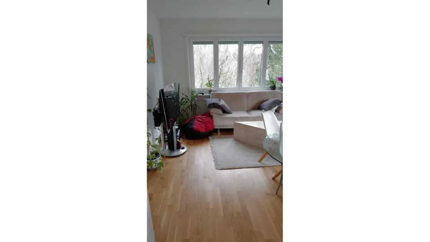 3½ ROOM APARTMENT IN BERN - SPITALACKER, FURNISHED, TEMPORARY - Photo 2 of 10