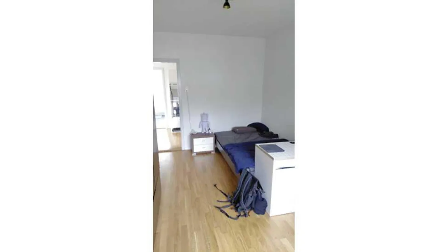 3½ ROOM APARTMENT IN BERN - SPITALACKER, FURNISHED, TEMPORARY - Photo 6 of 10